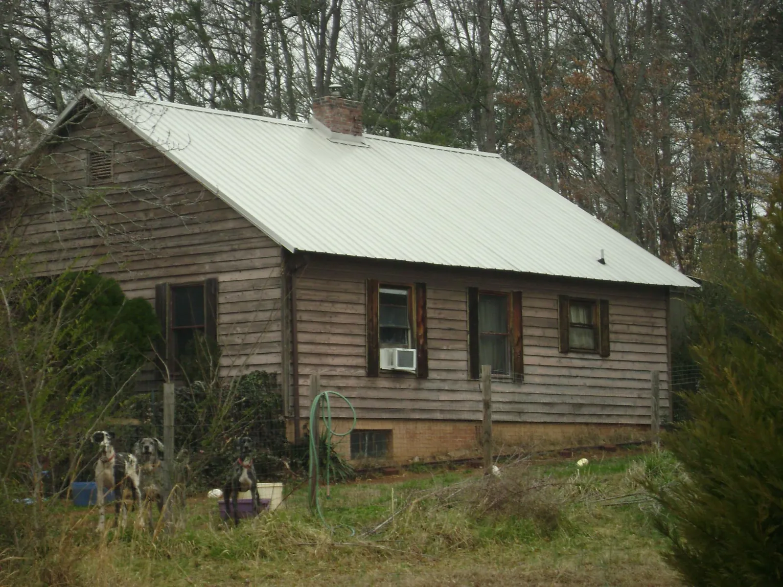 White metal roof on an old wood sided farmhouse, from a Asphalt Shingle Roof Repair job in Jacobsburg